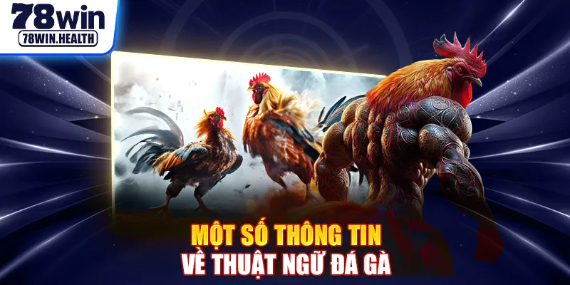 Một số thông tin về thuật ngữ đá gà