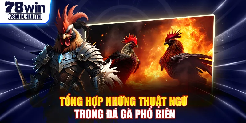 Tổng hợp những thuật ngữ trong đá gà phổ biến